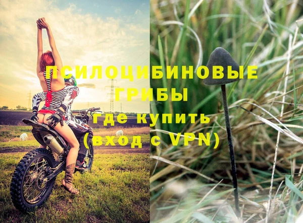 мдпв Беломорск